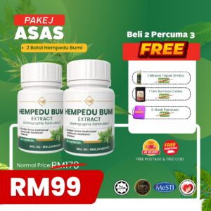 Pakej Asas